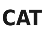 Caterpillar